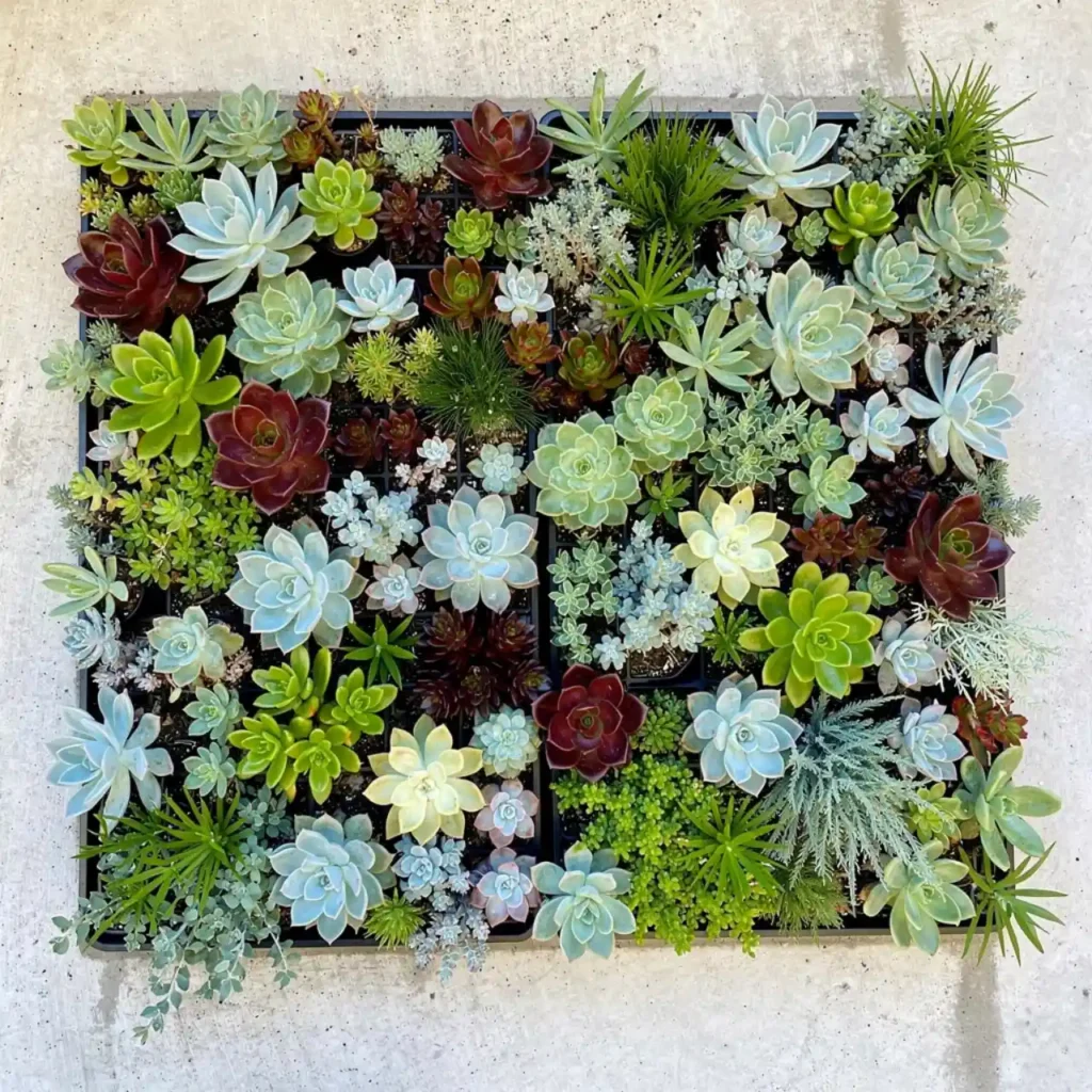5-Vertical Garden Idea